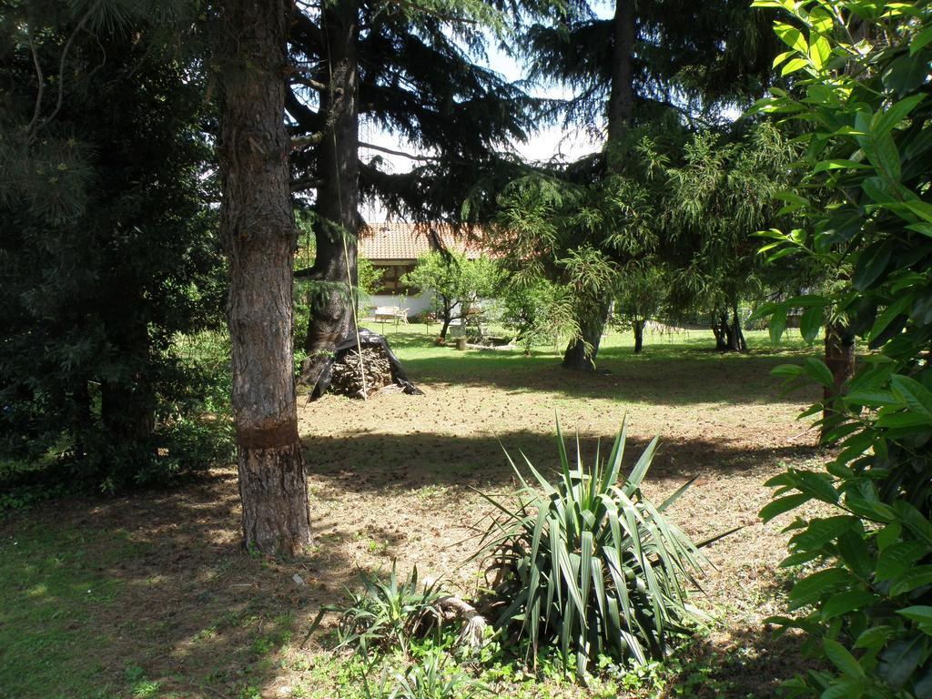 B&B Villa Mirella Casnate Con Bernate Dış mekan fotoğraf