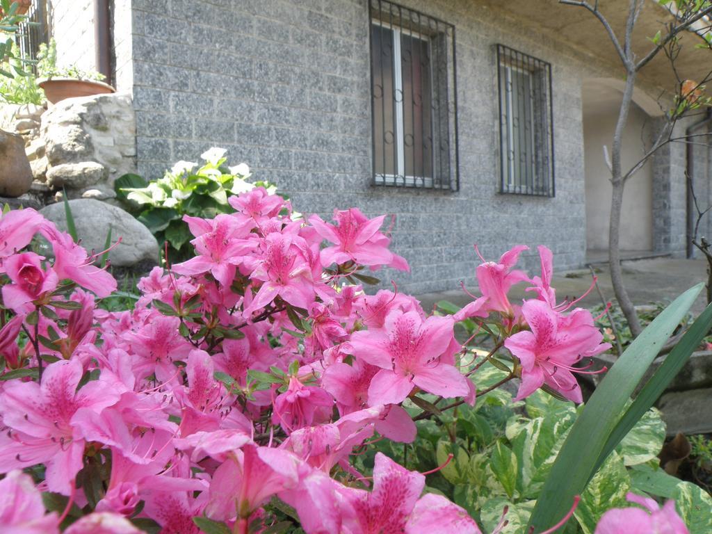 B&B Villa Mirella Casnate Con Bernate Dış mekan fotoğraf
