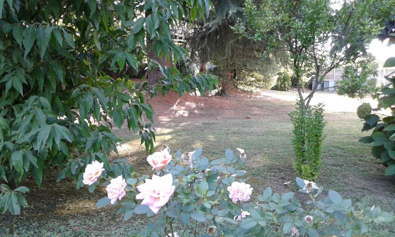B&B Villa Mirella Casnate Con Bernate Dış mekan fotoğraf
